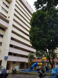 Blk 247 Bukit Batok East Avenue 5 (Bukit Batok), HDB 3 Rooms #160549292